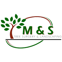 M and S Tree Surgery and Landscaping 1126157 Image 0
