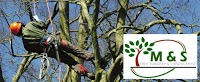 M and S Tree Surgery and Landscaping 1126157 Image 1