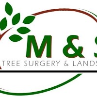 M and S Tree Surgery and Landscaping 1126157 Image 2