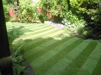 M.B Turf Supplies and Landscape Services. Cardiff Caerphilly 1103750 Image 2