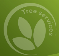 M.T Mackrael Tree Services 1119267 Image 3