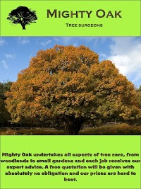 MIGHTY OAK TREE SURGERY 1131628 Image 0