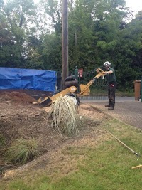 Magee Tree and Landscaping Services 1117419 Image 2