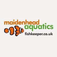 Maidenhead Aquatics @Wadebridge 1110439 Image 3