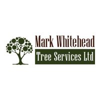 Mark Whitehead Tree Services Ltd 1116109 Image 4