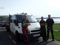 Martin Ivall Tree Services 1131445 Image 0