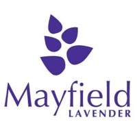 Mayfield Lavender Nursery 1115833 Image 7