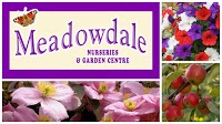 Meadowdale Nurseries 1117067 Image 0
