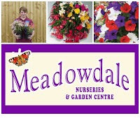 Meadowdale Nurseries 1117067 Image 2