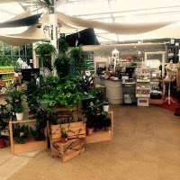 Mid Ulster Garden Centre 1128846 Image 5