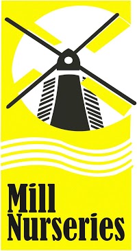 Mill Nurseries 1112336 Image 5