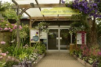 Millbrook Garden Centre   Crowborough 1106377 Image 0