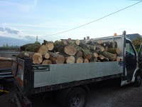 Mobile Log Splitting and Supplier of Seasoned Logs 1122913 Image 3
