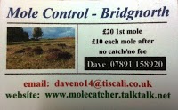 Mole Control   Bridgnorth, Shropshire aka Bridgnorth Mole Catcher   Mole Trapper   Mole Pest Control 1112650 Image 3