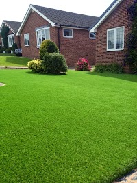 My Pad Artificial Grass 1104490 Image 0