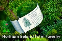NI Farm Forestry 1125338 Image 1
