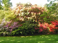 National Trust   Bodnant Garden 1110879 Image 7