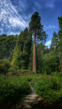 National Trust   Bodnant Garden 1110879 Image 9
