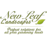New Leaf Landscapes 1129195 Image 0