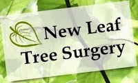New Leaf Tree Surgery 1124789 Image 0