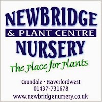 Newbridge Nursery and Plant Centre 1125363 Image 6
