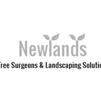 Newlands Tree Surgeons and Landscaping Solutions 1110149 Image 3