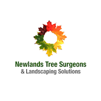 Newlands Tree Surgeons and Landscaping Solutions 1110149 Image 4