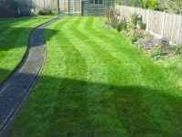 Nice and Tidy Garden Services 1128219 Image 2