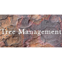 Nick Baxter   Tree Management 1122079 Image 4
