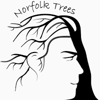 Norfolk Trees 1106533 Image 7