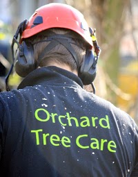 Orchard Tree Care 1125134 Image 5