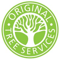 Original Tree Services 1121157 Image 4