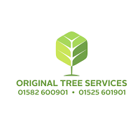 Original Tree Services 1121157 Image 5