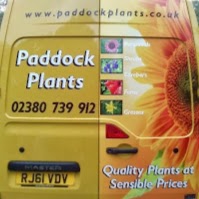 Paddock Plants 1122575 Image 2