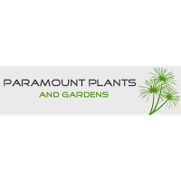 Paramount Plants and Gardens 1109238 Image 7