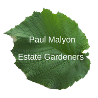 Paul Malyon Estate Gardeners 1122842 Image 5