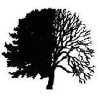 Pauls Trees of Waltham Abbey 1122685 Image 2