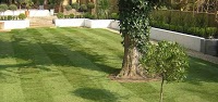 Perfect Turf   Lawn Turf Delivered or Fitted 1127706 Image 0