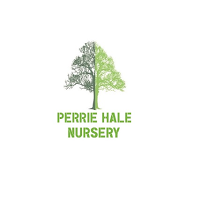 Perrie Hale Nursery 1117418 Image 5