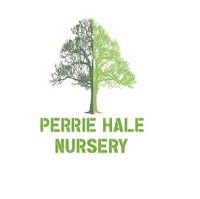 Perrie Hale Nursery 1117418 Image 8