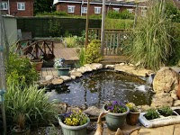 Phils Gardening Services Limited 1111454 Image 3