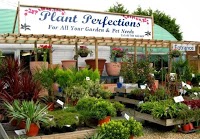 Plant Perfections Garden Centre 1109935 Image 0