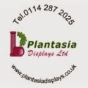Plantasia Displays Ltd 1103865 Image 7