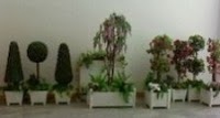 Plantasia Displays Ltd 1103865 Image 9