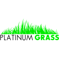 Platinum Grass   Artificial Grass Suppliers 1112929 Image 3