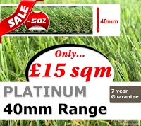 Platinum Grass   Artificial Grass Suppliers 1112929 Image 9