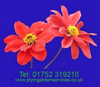 Plym Garden Services 1107151 Image 0