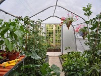Polytunnels By Haygrove 1121627 Image 1