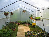 Polytunnels By Haygrove 1121627 Image 2