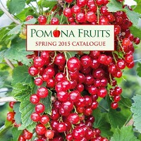 Pomona Fruits Ltd 1124780 Image 3